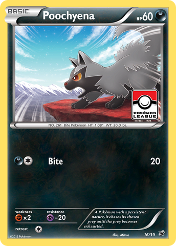 Poochyena (16/39) [XY: Conjunto inicial de Kalos] 
