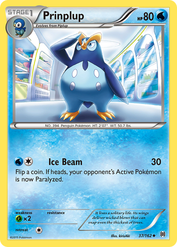 Prinplup (37/162) [XY: AVANCE] 