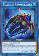 Cambroraster Paleozoico [LIOV-EN047] Común 