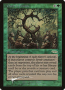 Juramento de los druidas [Tarjetas de regalo para jueces 2001] 