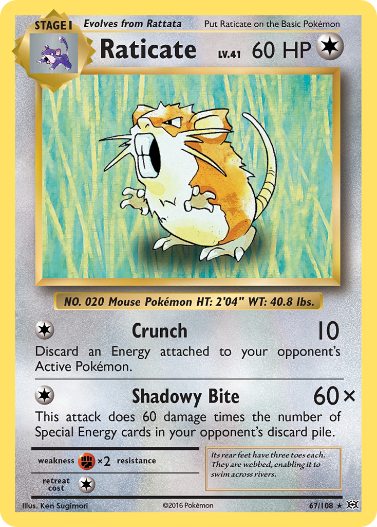 Raticar (67/108) [XY: Evoluciones] 