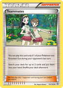 Compañeros de equipo (141/160) [XY: Primal Clash] 