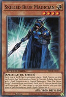 Mago azul experto [SBCB-EN181] Común 