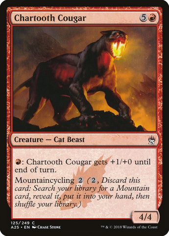 Puma con dientes de charto [Masters 25] 
