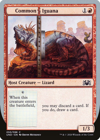 Iguana común [no autorizada] 