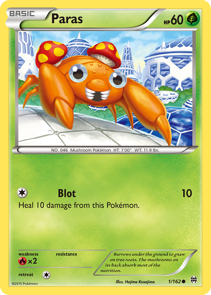 Párrafos (1/162) [XY: AVANCE] 