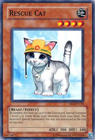 Gato de rescate [DR3-EN153] Común 