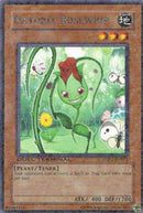 Remolacha Cosmo Naturia [DT02-EN072] Común 