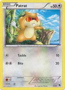 Patrat (30/12) [Blanco y negro: Kit de entrenador - Zoroark] 