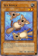 Koala Marino [PTDN-EN037] Común 