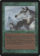 Aspecto del lobo [Edición Beta] 