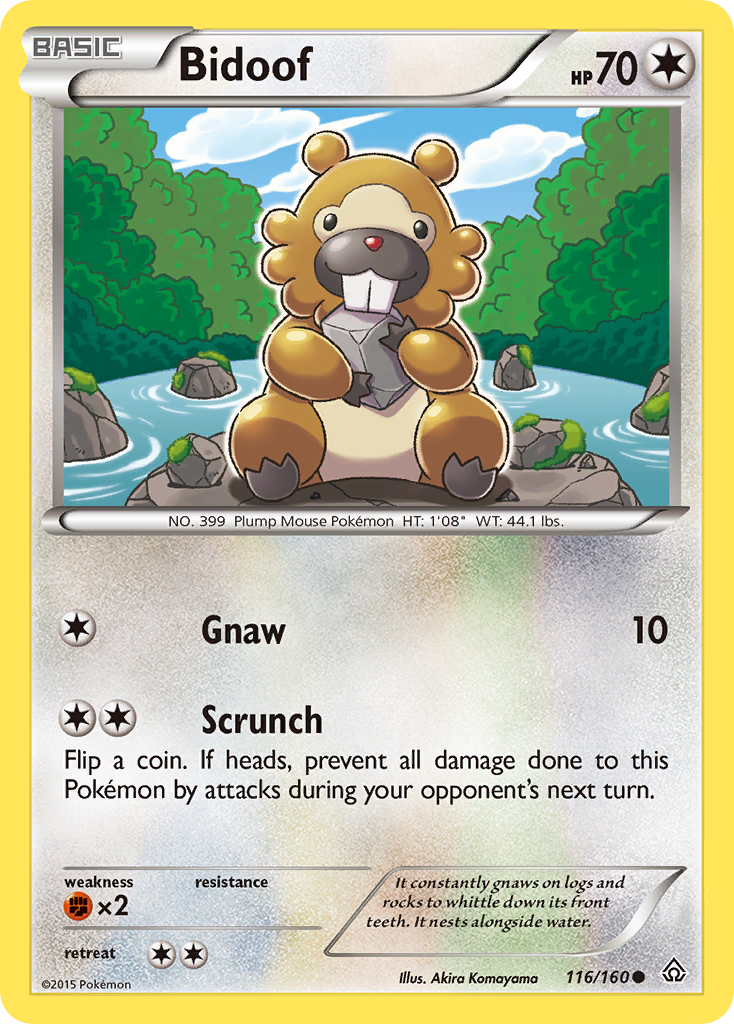 Bidoof (116/160) [XY: Choque primigenio] 