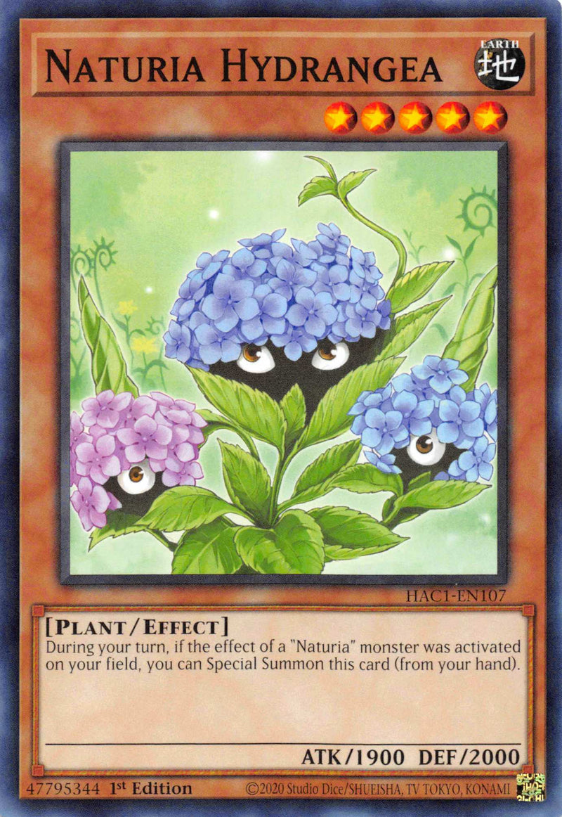 Hortensia Naturia [HAC1-EN107] Común 
